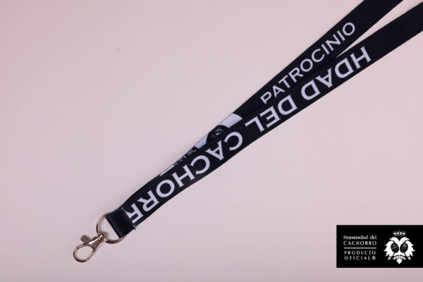 Lanyard